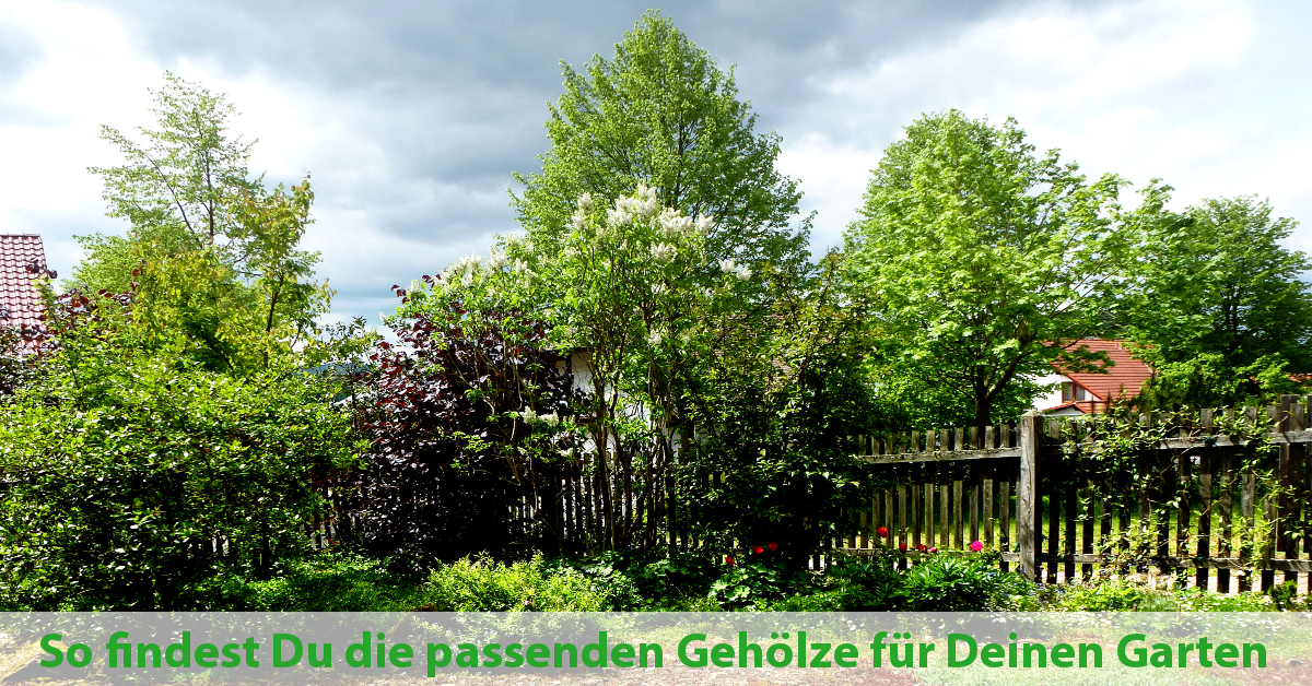 (c) Garten-gehoelze.de