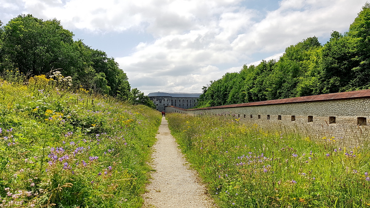 Schmetterlings-Pfad auf die Wilhelmsfeste in Ulm Schmetterlings-Pfad auf die Wilhelmsfeste in Ulm