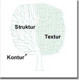 Baumschulpflanzen - Struktur - Textur - Kontur