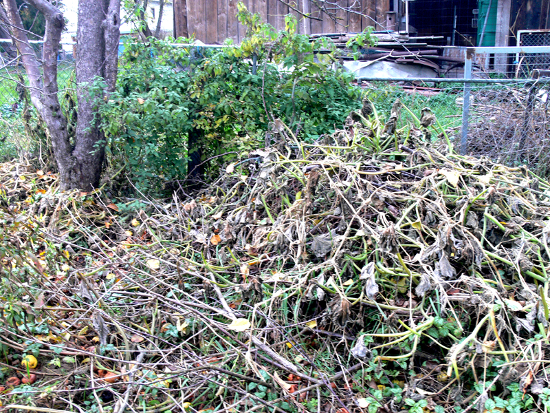 Kompostplatz mit grobem Material ist ein guter Platz für Igel und sonstige Kleintiere